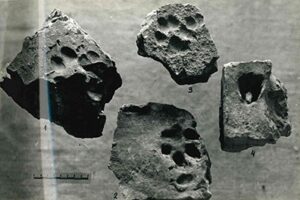 Цэгла са слядамі жывёл, дажджу і графіці з Лідскага замка